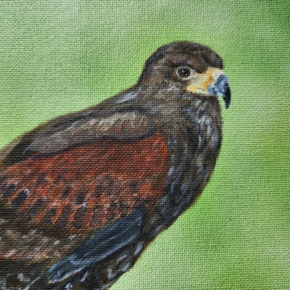 Hawk Fish Prey Acrylic Canvas Original Painting 9x12 Handmade - Picture 3 of 5